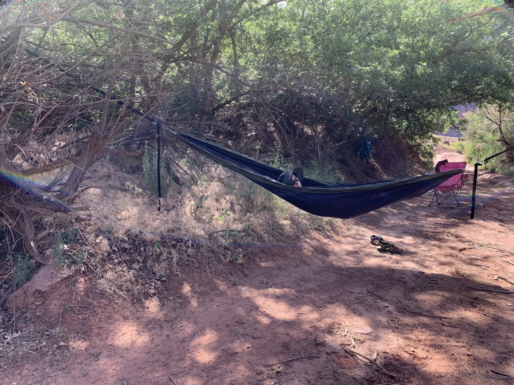 Found shade and trees barely able to support a hammock