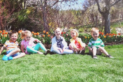 tulip festival 1