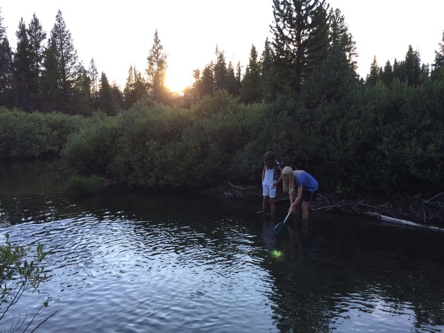 Playing in the creek
