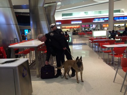 flight_bomb_dog
